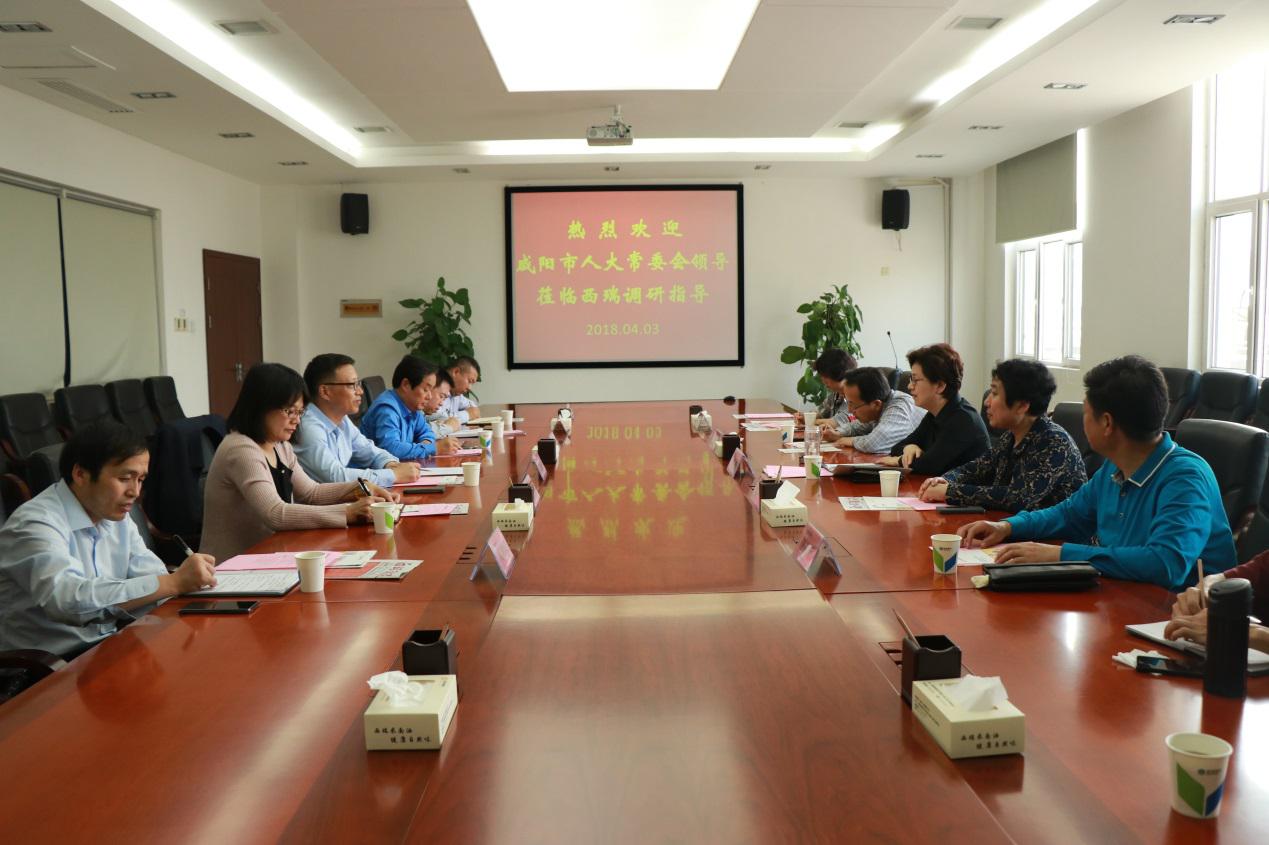 咸陽市人大黨組副書記、副主任肖芳到西瑞集團(tuán)考察調(diào)研