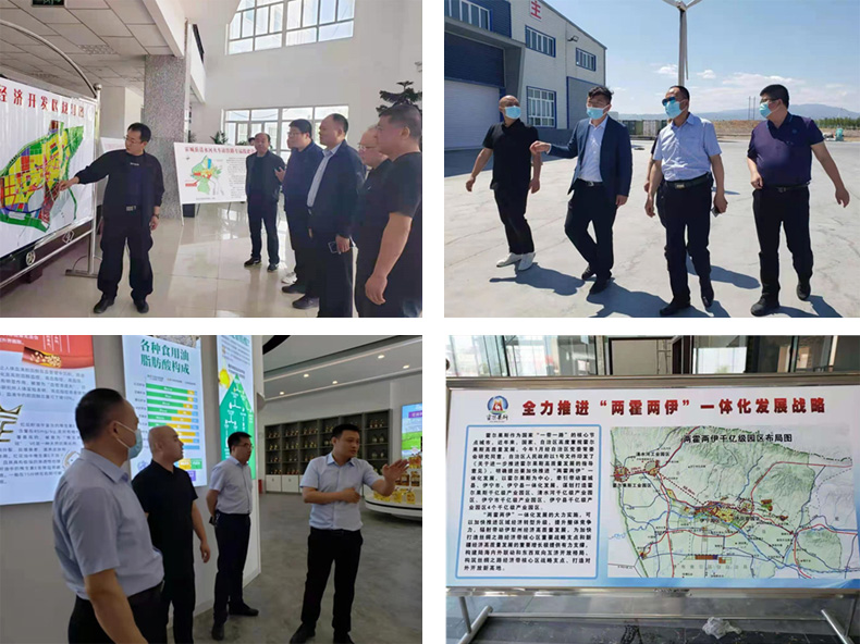 油脂集團(tuán)：李普生一行赴新疆霍城調(diào)研、檢查工作