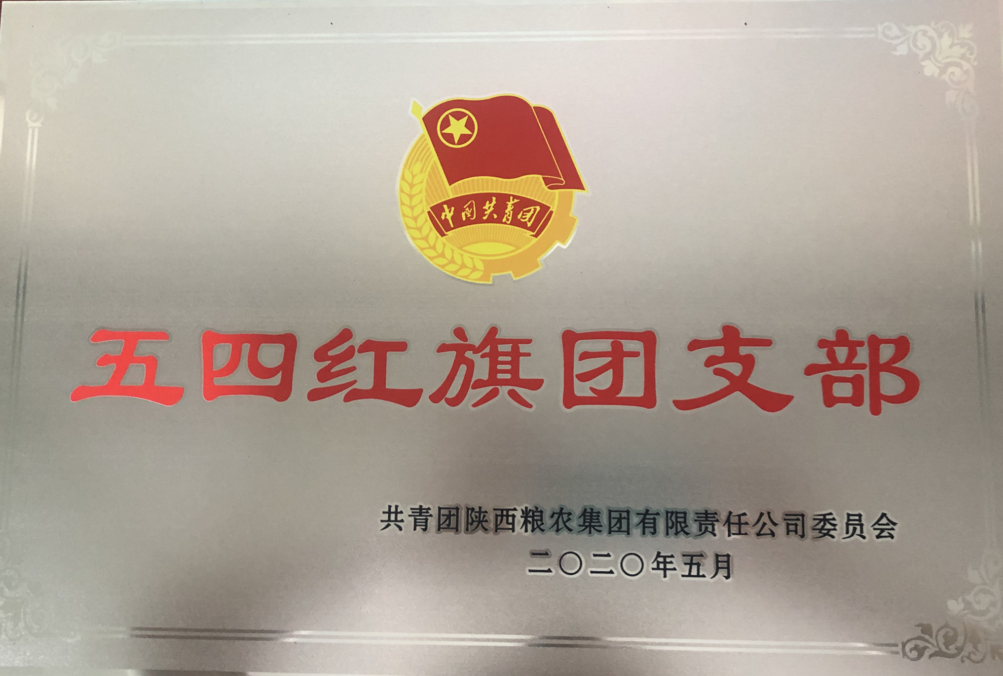 喜報(bào)！五四青年節(jié)，油脂集團(tuán)多位青年喜獲陜西糧農(nóng)集團(tuán)榮譽(yù)！