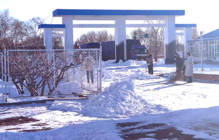 儲備糧管理集團：戰(zhàn)嚴(yán)寒、清暴雪 集團開魯庫保秋糧入庫
