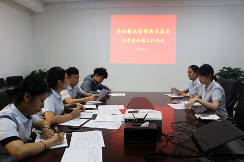 營(yíng)銷(xiāo)物流集團(tuán)召開(kāi)共青團(tuán)工作專(zhuān)題會(huì)議