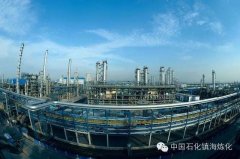 臥龍電驅(qū)再獲中石化鎮(zhèn)海煉化項(xiàng)目框架高壓電動(dòng)