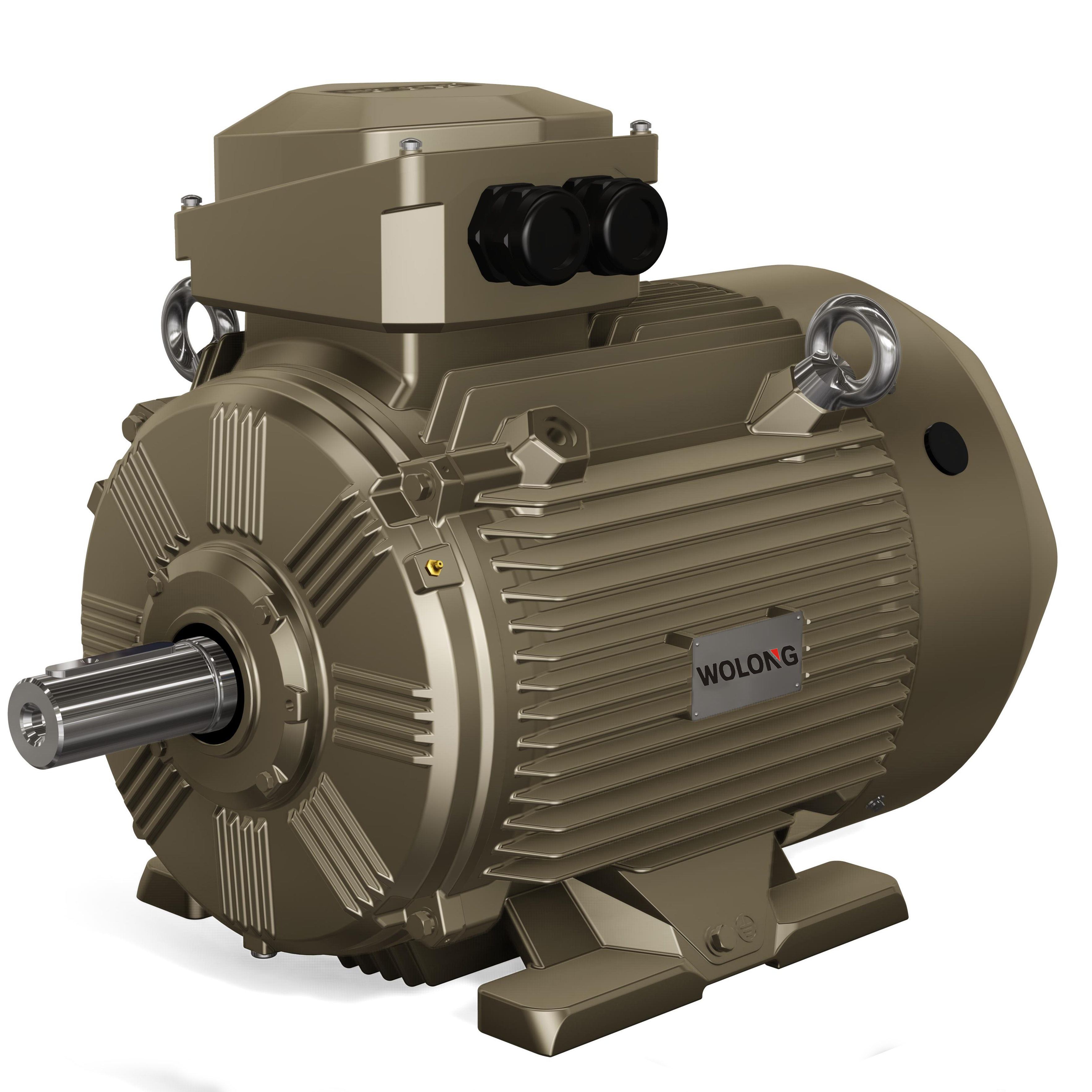 Low voltage AC motor