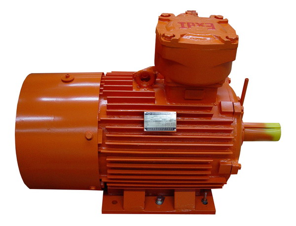 煤礦專(zhuān)用隔爆型三相異步電動(dòng)機(jī).jpg