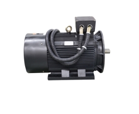 永磁同步電機(jī)市場發(fā)展趨勢(shì)與未來前景分析