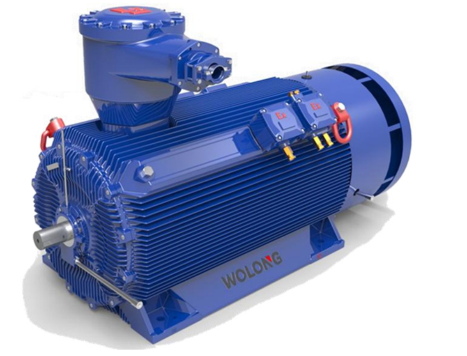 wolong高壓永磁電機